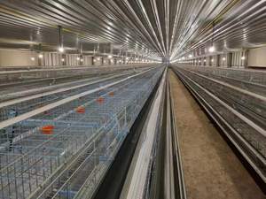 Cages à poules pondeuses de type ferme petite exploitation, modèle PH3200, garantie 1 an, galvanisées - Product Image 4