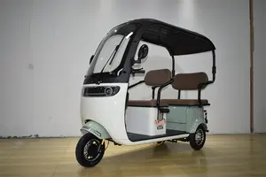Triciclo eléctrico de lujo para adultos al por mayor de buena calidad con cubierta para la lluvia
