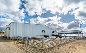 <span class=keywords><strong>Maison</strong></span> préfabriquée à faible coût pour l'élevage de chèvres Construction légère Salle d'équitation et ferme de moutons Services de coupe et de soudage inclus - Product Image 2