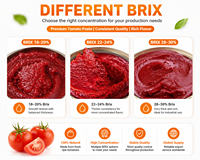 Pâte de tomate aseptique Tetra Brik 135g de pâte de tomate en forme de brique de marque OEM