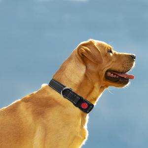 <span class=keywords><strong>Collar</strong></span> de nailon ajustable de lujo para mascotas, cintas reflectantes, <span class=keywords><strong>Collar</strong></span> DE SEGURIDAD transfronterizo de lujo para perros, cinturón acolchado sólido, venta al por mayor para mascotas - Product Image 4
