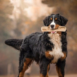 WINVN 100% jouets à mâcher <span class=keywords><strong>en</strong></span> bois de café naturel pour chiens bâtons à mâcher pour animaux de compagnie indestructibles bonnes dents Offre Spéciale un usage quotidien cadeau de noël - Product Image 3