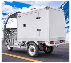 Fland Freezer Scooter électrique Tricycles électriques <span class=keywords><strong>Vélo</strong></span> cargo électrique avec mini chambre froide avec trois roues - Product Image 6