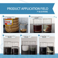 Vente directe d'usine de produits chimiques pour le traitement de l'eau à floculation rapide : polyacrylamide cationique, anionique et non ionique