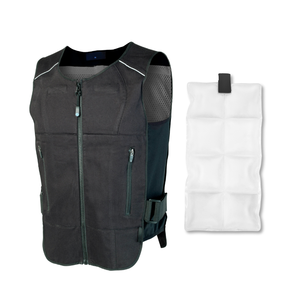 Sản Phẩm Phổ Biến <span class=keywords><strong>2025</strong></span> Pcm Làm Mát Nước Đá Tái Sử Dụng Vest Làm Mát <span class=keywords><strong>Pad</strong></span> Nóng Và Lạnh Gói - Product Image 2