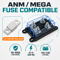 Portafusibles MEGA/AMG de 2 Vías con 2 Fusibles de 100A para Reparación de Automóviles