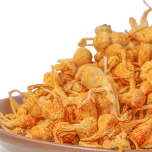 Holesale porporporead ordordyceps UnEst est ordordyceps ordilitaris rrganic Ried ordycepin. - Product Image 5