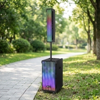 BA-X2128 Altavoz Inalámbrico de Doble Línea de 12 Pulgadas, Audio Profesional, Micrófonos Duales, Alta Potencia, RGB, Carrito, Personalización de Fábrica, Venta al Por Mayor