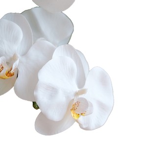 Arrangement de fleurs artificielles, orchidée Phalaenopsis, hortensia, fleurs en soie, vase blanc pur, décoration d'intérieur - Product Image 5