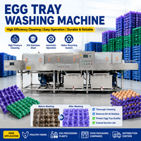 Machine à laver les barquettes à œufs de qualité alimentaire |   Système de nettoyage clé en main pour cartons moulés en pâte à papier destinés aux grandes exploitations avicoles