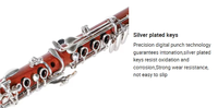 17 Key Professional Bb Rosewood Clarinet Nickel Silver Woodwind Clear Tone Customizable