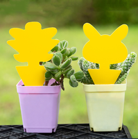 Planche attirant les insectes Planche de forme spéciale pour fleurs domestiques Piège jaune double face pour tuer les insectes