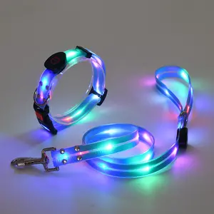 Oplichten Hondenriem Kraag Set Usb Oplaadbare Gloeiende Led Pet Kraag Loodset Voor Nachtlopen Led Pet Riem