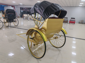 Venta caliente clásico de 2 ruedas de mano de obra bicicleta Rickshaw carro tirado a mano con precio competitivo transporte especial - Product Image 5