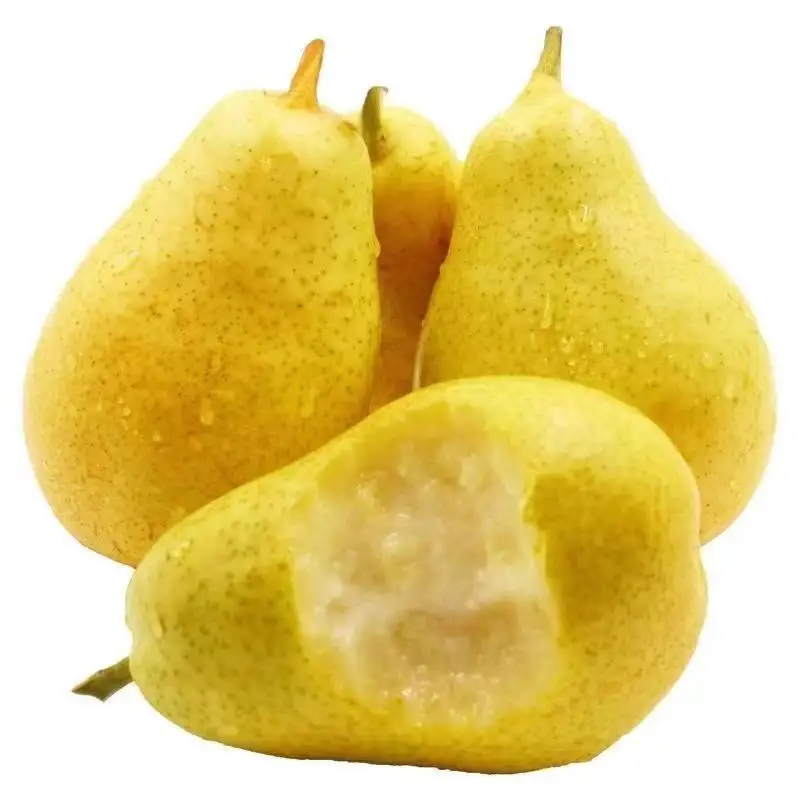 Ya Pears中国梨工場直販甘くてジューシーなShandong Pears卸売価格
