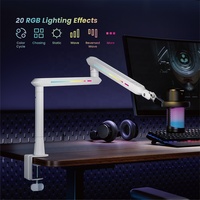 MDS19-1L Vente en gros Premium professionnel RGB Studio Microphone Stand Podcast de bureau OEM Boom Arm Mic Stand Holder pour l'enregistrement