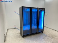Réfrigérateur commercial vertical de luxe avec porte vitrée pour boissons, 1/2/3/4 portes, réfrigérateur intégré pour boissons froides