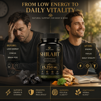 Shilajit Capsule Himalaya Shilajit Resin Care Force masculine Supplément de santé Capsules d'extrait de Shilajit au meilleur prix