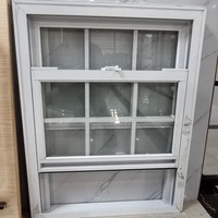 Ventanas de PVC de Bajo Consumo Energético, Plegables, de Vidrio, a Prueba de Huracanes, con Marco de Malla de Seguridad Personalizada en Pequeños Lotes