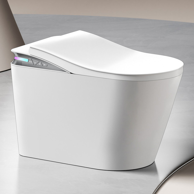 Bathroom Luxury Ergonomic Design Rear Washing