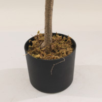 JWS4018 Fleur de Camélia Artificielle Plante en Pot Fourniture de Haute Qualité Fleur de Camélia Décoration de Maison Paysage Arbre de Fleurs