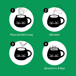 Produttore diretto Petlinks Nibble <span class=keywords><strong>Licious</strong></span> Organic Cat Grass tool set Kit - Product Image 5