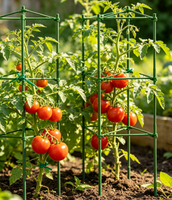 Treillis de support pour plantes de jardin, cage à tomates en métal pour légumes grimpants, piquets de soutien verticaux pour la culture des concombres, des haricots et des végétaux rampants