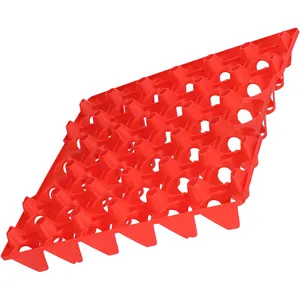 Plastic Egg Tray Egg Crates 30-Egg Flats for Home Chicken Farmers