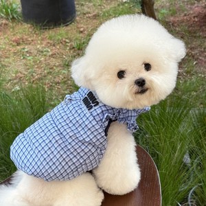 Ropa para Perros para Otoño e Invierno - Teddy, Pomeranian, <span class=keywords><strong>Beagle</strong></span>, <span class=keywords><strong>Yorkshire</strong></span> Terrier - Abrigos Cálidos para Perros Pequeños - Product Image 4