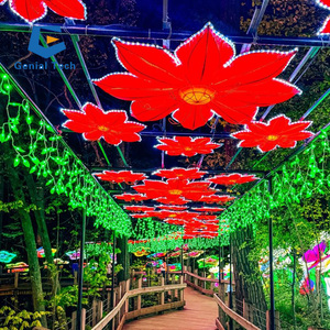 أو فوانيس أسماك للعرض في الهواء الطلق احتفالات المهرجانات الصينية المصنوعات أضواء الحيوانات الأسماك الجذابة - Product Image 3