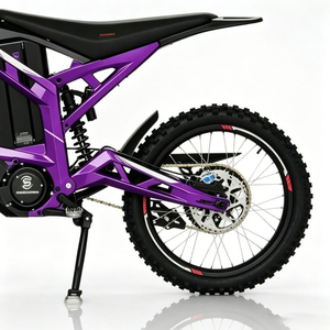 SS8.0adventure <span class=keywords><strong>Moto</strong></span> tout-terrain électrique à haute capacité de charge, Article d'investissement pour les loisirs, Outil de construction communautaire, Vente en gros - Product Image 6