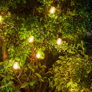 Bombilla de alta calidad Energía solar 15led <span class=keywords><strong>48ft</strong></span> Festoon <span class=keywords><strong>String</strong></span> <span class=keywords><strong>Lights</strong></span> Extensible Outdoor Commercial Hanging Sockets <span class=keywords><strong>String</strong></span> <span class=keywords><strong>Lights</strong></span> - Product Image 2