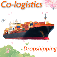 Révolutionnez le fret maritime FCL : Solutions sûres et économiques pour conteneurs 40HQ/20GP/40GP – Assurance Chine-Arabie Saoudite Inégalée