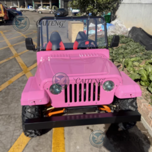 Buggy Eléctrico a Batería, Mini Jeep con Motor de 250cc/200cc, Legal para la Calle, 4x4, para Adultos, Motocicleta Económica de Gasolina - Product Image 2