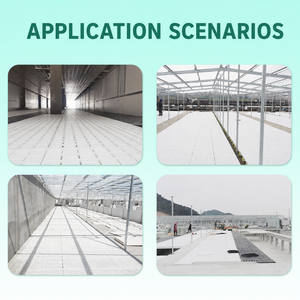Nuevo Panel de Suelo de Plástico Resistente con Rejillas para Granjas de Cerdos, Antideslizante, de PP, con 1 Año de Garantía, para Cerdos de Cría y Engorde - Product Image 4