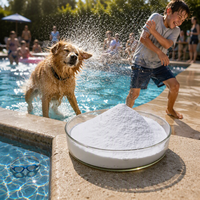 CYA20260910E Zertifizierte Cyanursäure für Sicheres und Effizientes Schwimmbadwasser