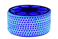220V Haute Tension 120leds 120leds IP65 Double Rangée Led Bande 5730 Led 2835 Led 50500 Led Bande Flexible Blanc Chaud Flexible