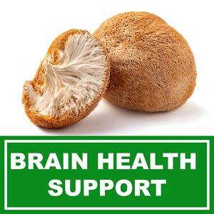 Fast Absorption <b>Lion</b>‘s <b>Mane</b> Focus Gummies Promotes Nervous System Recovery & Immunity Support with Dietary <b>Supplement</b> - Product Image 5