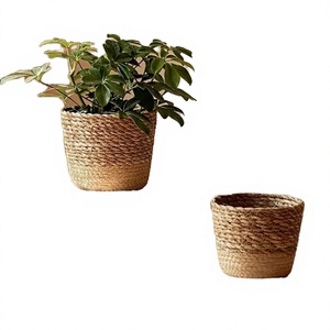 Natural Seagrass Storage <b>Basket</b> Rustic Style <b>Plant</b> Pot Eco-Friendly Bowl Shape <b>for</b> Indoor Use - Product Image 3