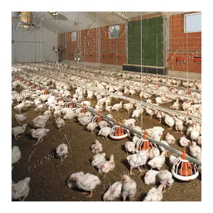 Yüksek kaliteli ticari Broiler çiftlik ekipmanları ve tavuk hayvan çiftliği için araçlar