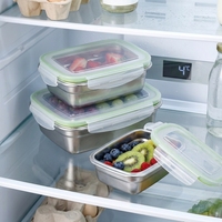 Ensemble de boîtes à lunch en acier inoxydable 304 avec couvercle en plastique pour le stockage des aliments et des fruits, style simple pour une utilisation quotidienne, en plein air, au camping, à l'école