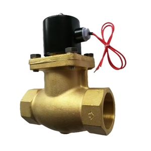 高温12V/24V DC 110V/120V 220V/230V交流电磁阀2L-50 2L500-50 <span class=keywords><strong>2</strong></span>英寸先导蒸汽活塞通用OEM - Product Image 2