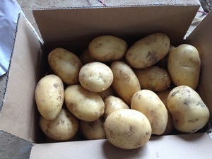 <span class=keywords><strong>Patatas</strong></span> Frescas de Alta Calidad 100% Frescas, Precio al por Mayor por Tonelada, Compre a Bajo Precio - Product Image 3