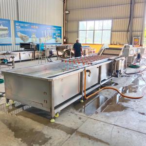 Laveuse à bulles haute capacité pour le traitement en vrac des légumes-feuilles (épinards, laitues) – Conception à haut rendement - Product Image 3