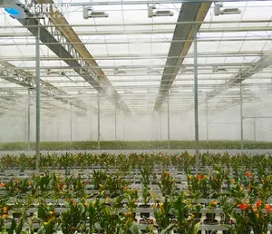 Agriculture Plastic Film Greenhouse For Small Tunnel Garden Sun Flower Farm House