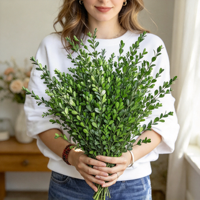 Buket Bunga Boxwood Alami yang Diawetkan, Bunga Kering, Daun Hijau, Ramah Lingkungan, Tahan Lama, untuk Hari Ibu, Hari Valentine, Festival