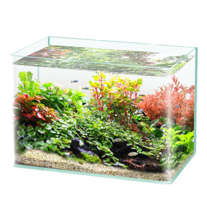 Acquario in Vetro Super Bianco di Lusso, Piccolo Acquario da Scrivania ad Angolo, Ecologico, <span class=keywords><strong>per</strong></span> <span class=keywords><strong>Tartarughe</strong></span>, <span class=keywords><strong>per</strong></span> Soggiorno, Acquario in Scatola - Product Image 1