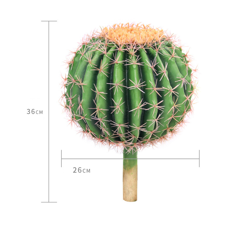 26cm