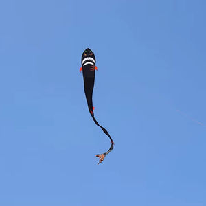 طائرة ورقية قرش مصممة خصيصًا للأطفال بالجملة طائرات ورقية طائرة مع إطار من الألياف الزجاجية من الشركة المصنعة للطائرة الورقية - Product Image 1