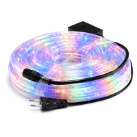 Flexibles PVC RGB LED-Lichtband IP67 Wasserdicht 100m/Rolle 360° Leuchten Garten Baum Umwicklung Partybeleuchtung Anpassbar